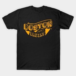 Boston bruins vintage T-Shirt